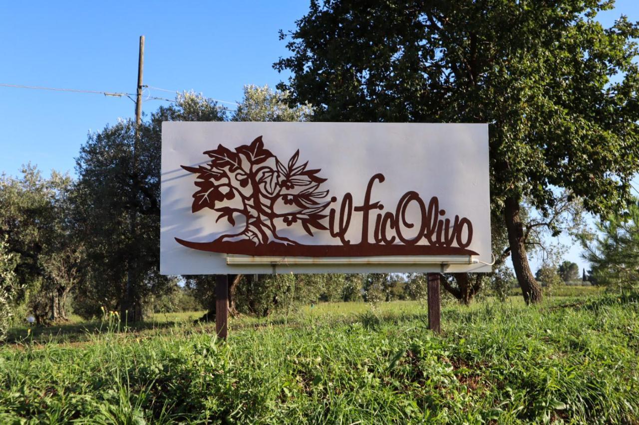Ficolivo Bed & Breakfast ปีติญาโน ภายนอก รูปภาพ